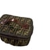 Fendi vanity bag