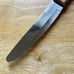 NICE Vintage DELCO 5” Blade Stainless Steel Pioneer Steak Knife w/ Wood Handle