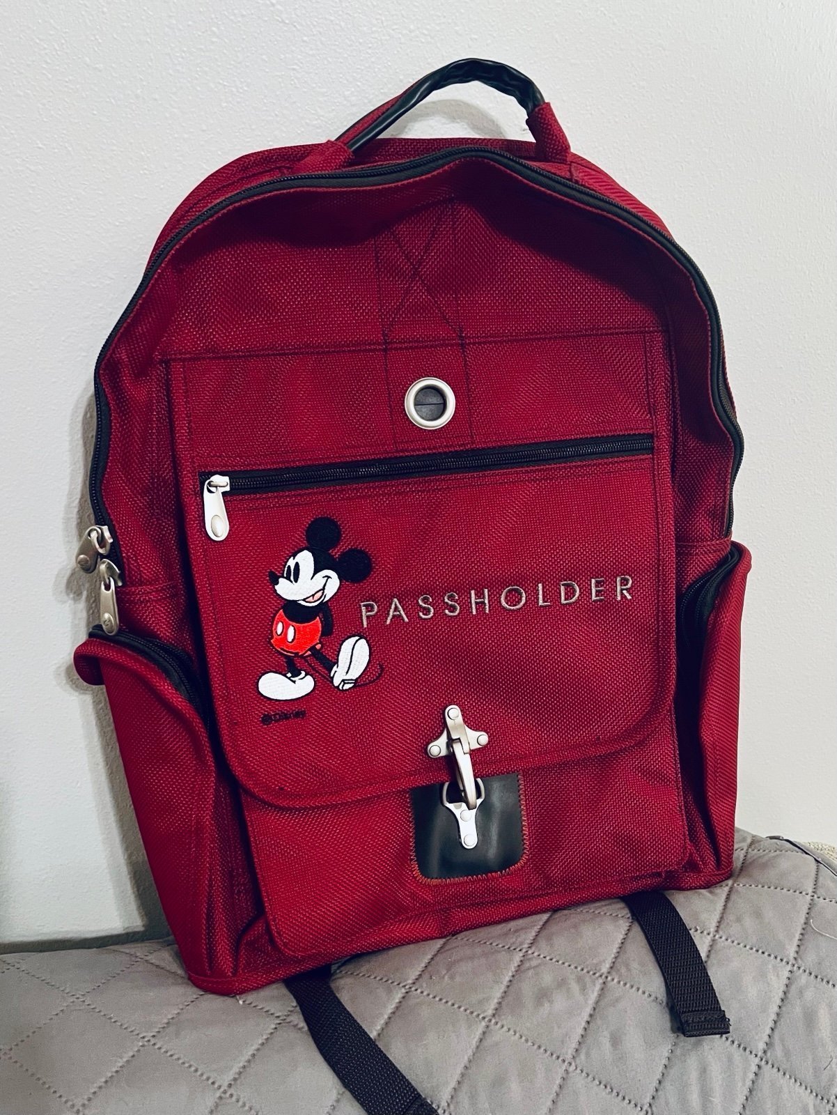 Disney Passholder Backpack - Rare - Open to offers