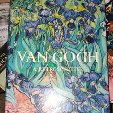 Van Gogh A Retrospective Susan Stein