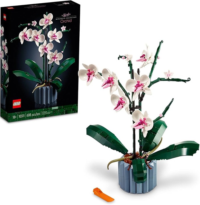 Orchid 10311