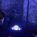 Galaxy Projector for bedroom, 20Colors Galaxy Light Projector for Bedroom
