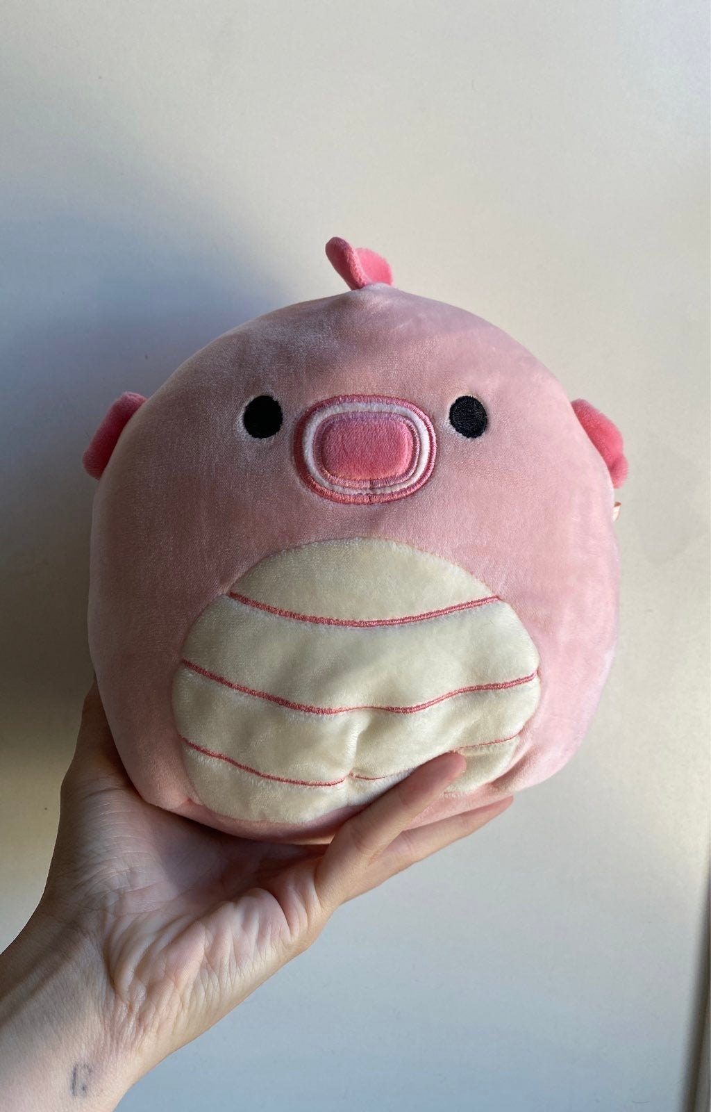7 inch pink sheldon squishmallow