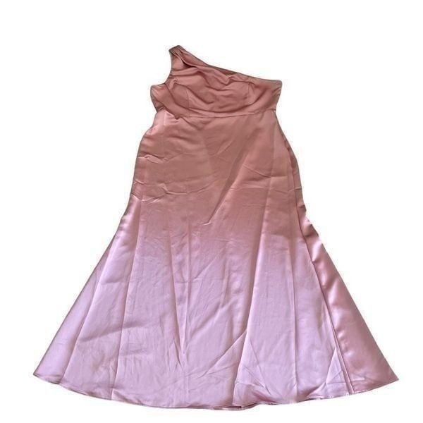 LOVELY One Shoulder Plus Dessert Rose Blush Pink Elegant Bridesmaids Special Oc