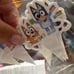 Pink Bluey Birthday Party Supplies | 126pc Set | New