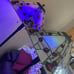 2 ll bean floor lamps very heavy