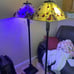 2 ll bean floor lamps very heavy