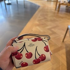 Coach Pouch Wristlet With Cherry Print CZ470 NWT