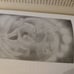 Shapeshifter tarot book