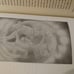 Shapeshifter tarot book