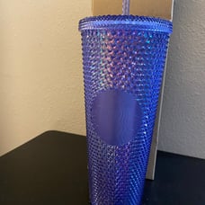 Starbucks Disneyland studded tumbler