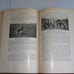 Antique 1927 Book Of Life Volume 1 Bible