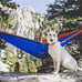 NWT Grand Trunk Double Hammock