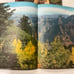 Vintage Lot of 5 MCM Arizona Highways Magazines 1954, 1956, 1961, and 1962