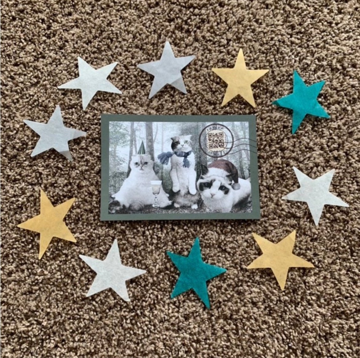 Taylor Swift Folklore Cats Postcard & Confetti