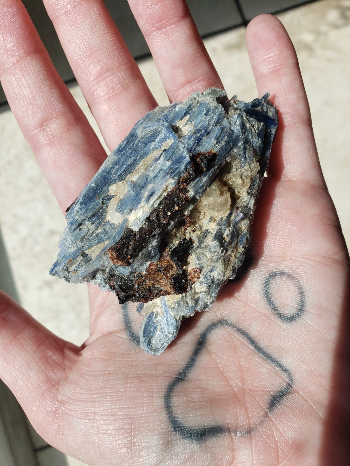 Raw Blue Kyanite in Quartz with Garnett