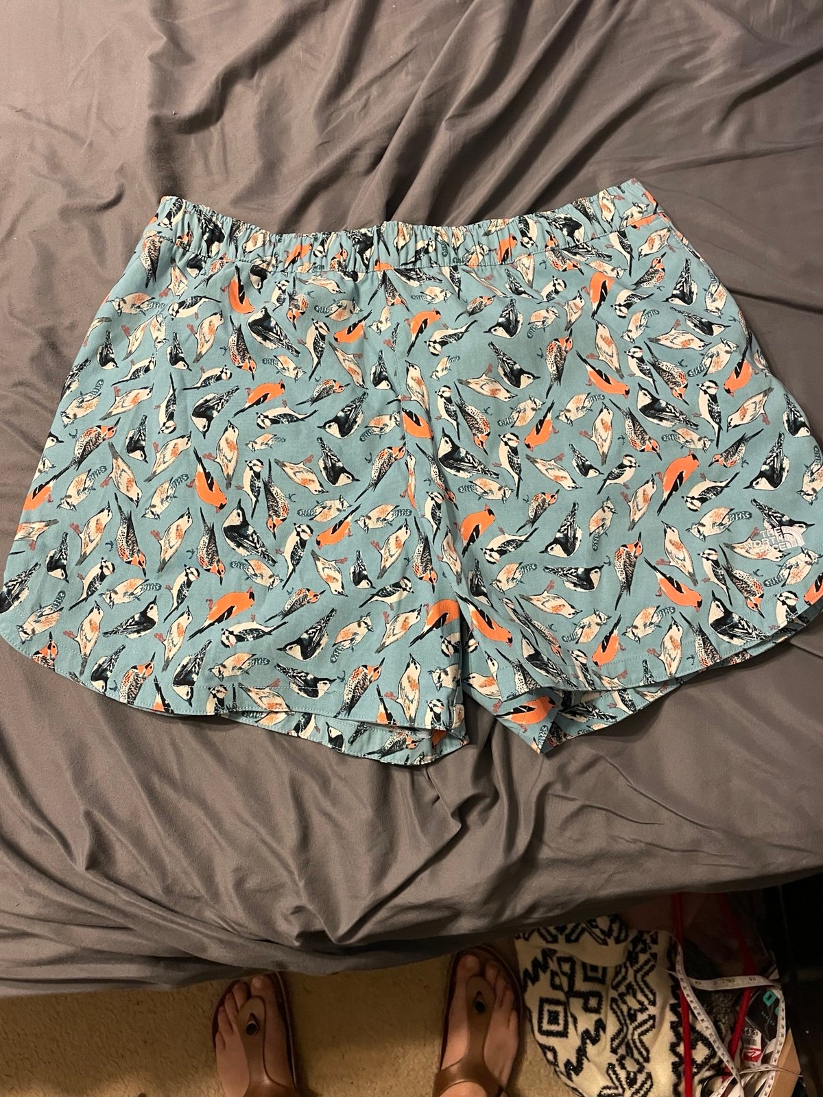 The North Face class v shorts women’s reef waters bird study bird study large