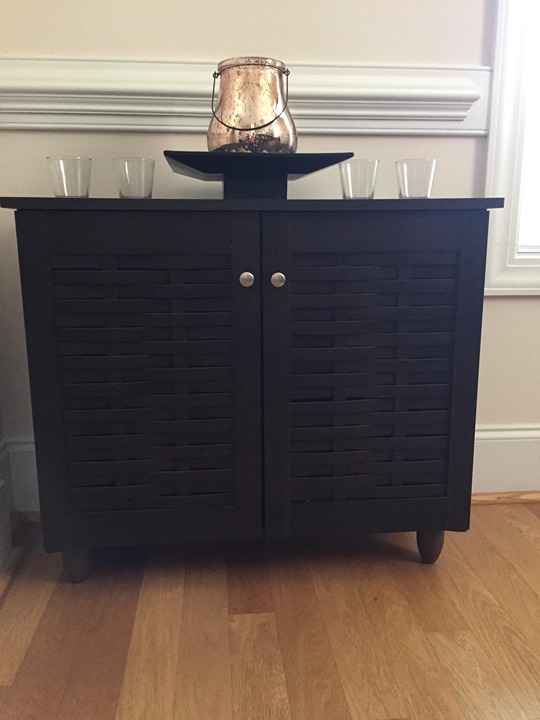 NEW Modern and Contemporary 2-Door Dark Brown Storage Cabinet