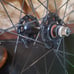 Lime Green Deep V wheelset (700c) (lock ring included) 2 Wheels Front and Rear