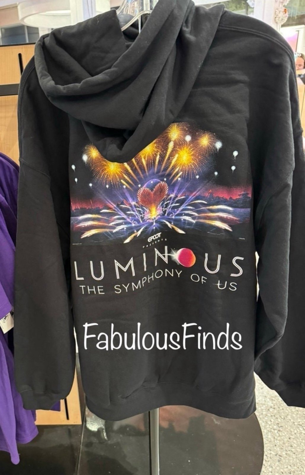 Disney Parks Epcot’s Luminous Pullover Hoodie