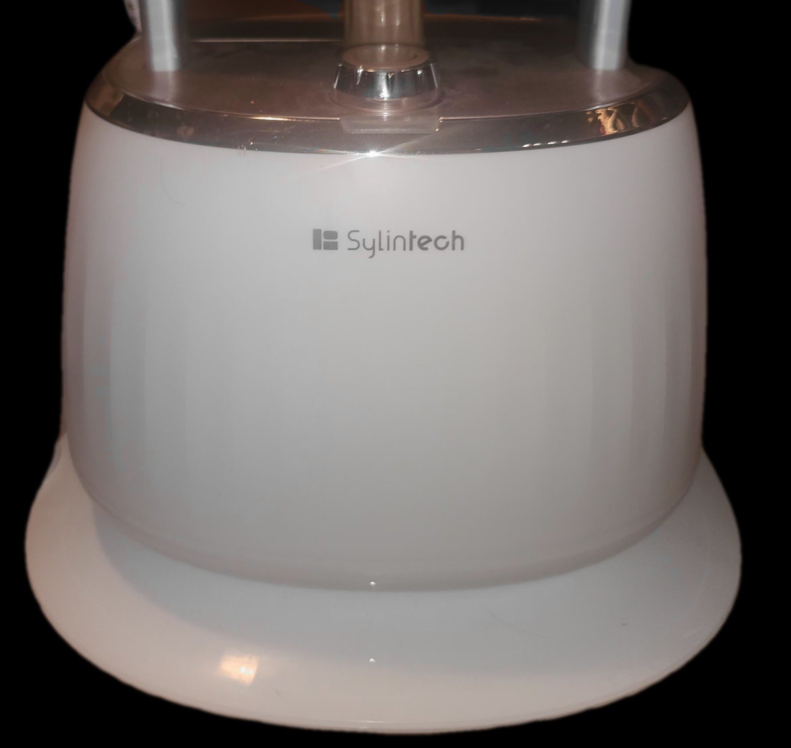 Garment Steamer for Clothes Standing
