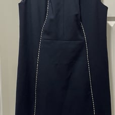 Shoshanna Josephine Nautical Dress