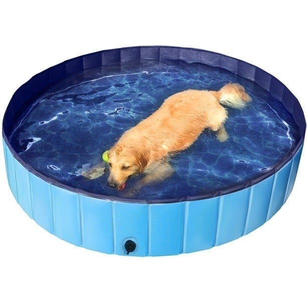 63'' Pet Dog Cat Swimming Pool Bathing Tub Foldable XXL