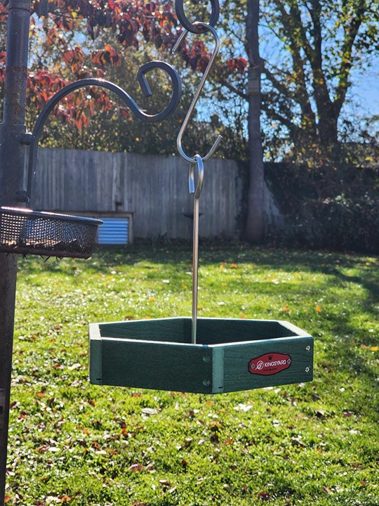 Kingsyard Platform Bird Feeder for Outdoor Hanging - Rugged Recycled Plastic Wil
