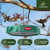 Kingsyard Platform Bird Feeder for Outdoor Hanging - Rugged Recycled Plastic Wil