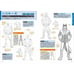How to Draw Furries 2 Art Book JP Anthro