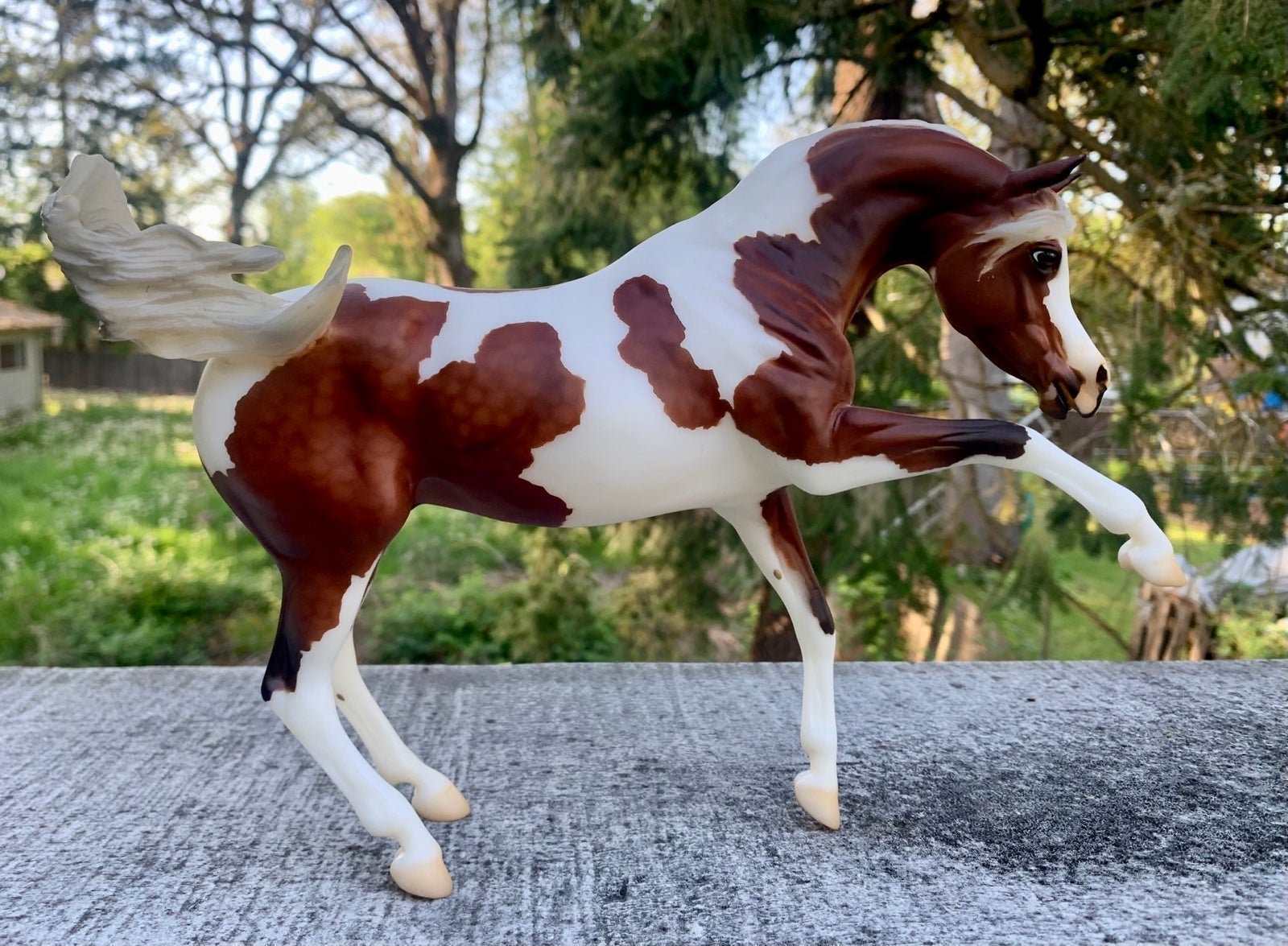 Breyer Abdul