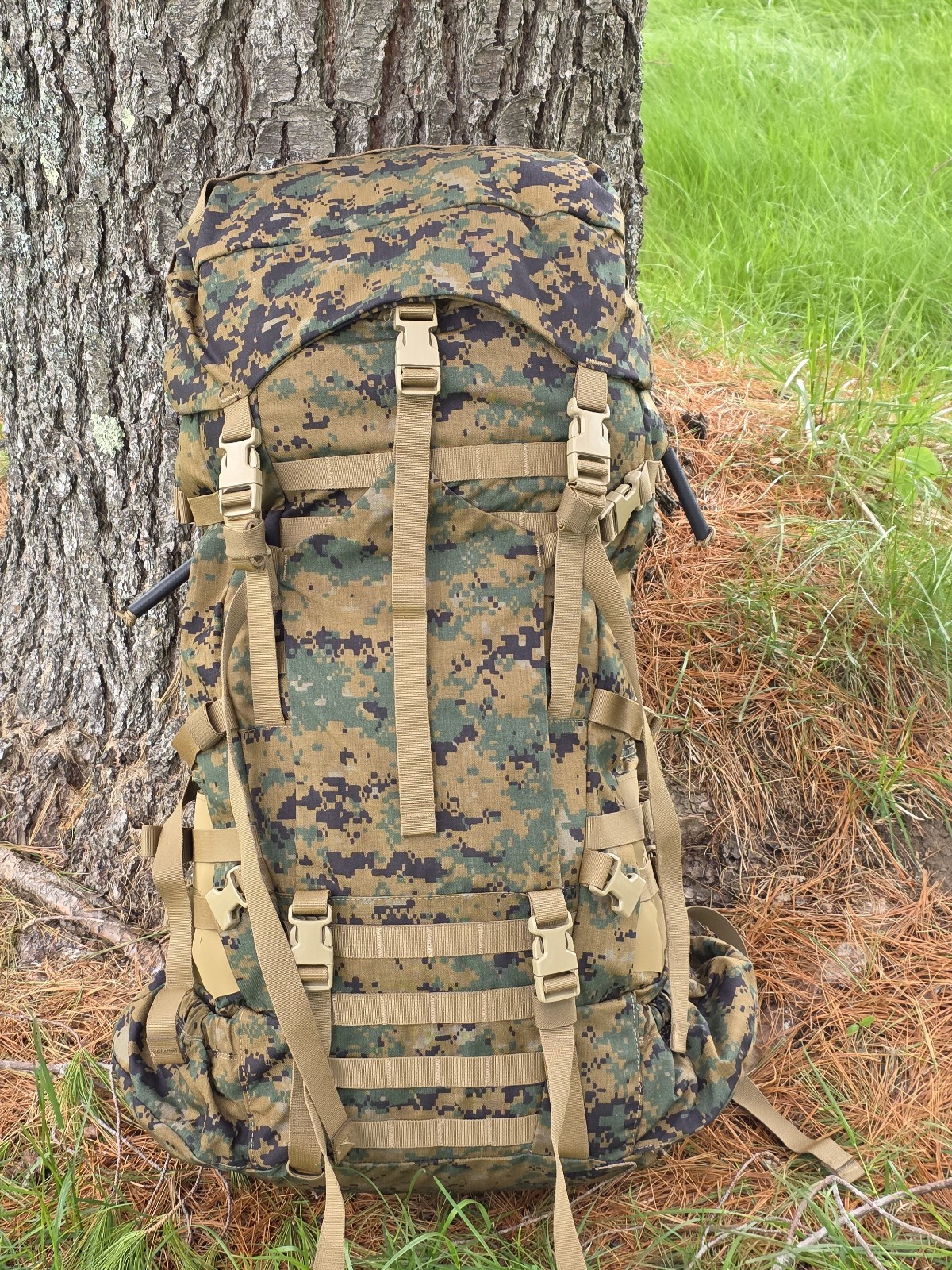 Brand New. USMC, ILBE Rucksack. Complete with the radio pouch and pack divider.