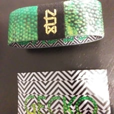 Zox gecko