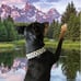FIEL AMIGO Large Dog Collar