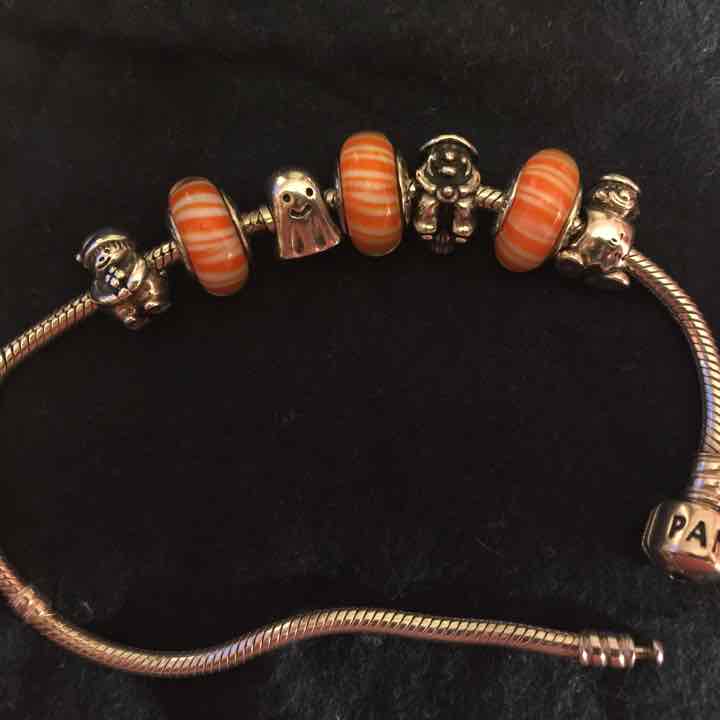 Pandora Bracelet with 7 Retired Charms