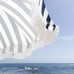 Holiday Beach Umbrella - Navy Crew Stripe