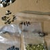 1/24 assorted lot