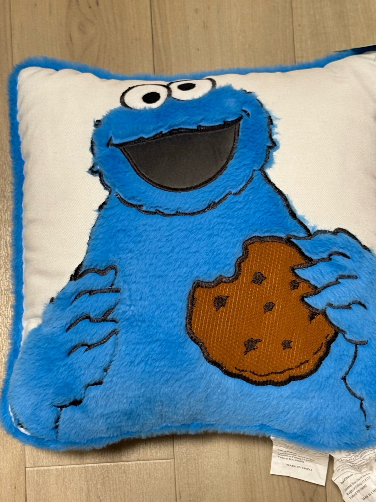 seasame street pillow
