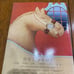 Cigar Aficionado Magazine Winter 1993 - Terry Bradshaw, Raul Julia