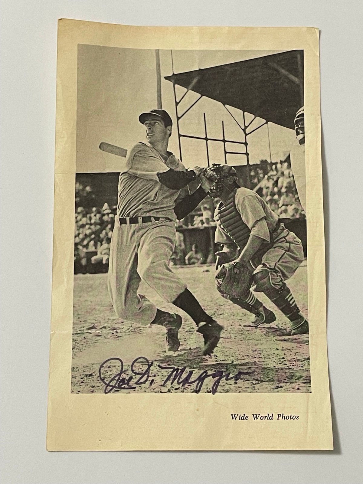 Photo Joe DiMaggio Signed Photo Paper Stats On The Back 8x5 Wide World Photos