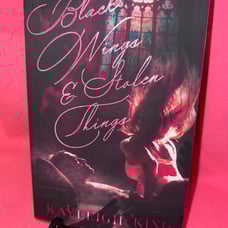 Black wings & stolen things