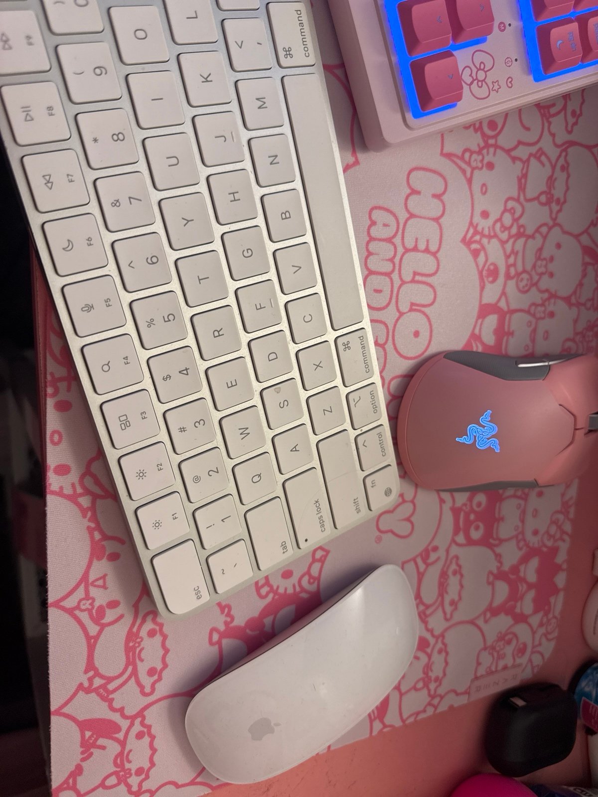 Apple keyboard and Apple mouse