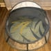 Babymoov Babyni Premium Pop-Up 3-in-1 Portable Baby/Toddler Playpen (Used)