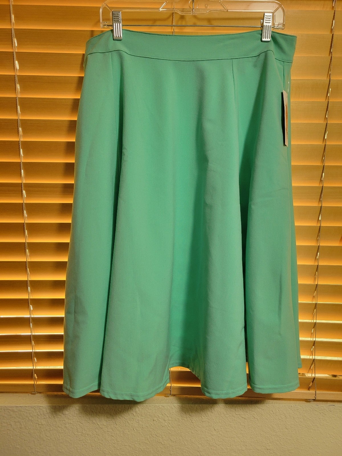 Steady Retro Vintage Mint Pocket High Waist Thrills Swing Skirt 1X NWT