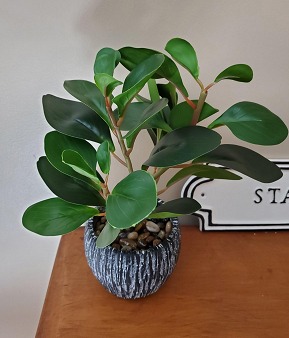 New Artificial Plants Real Looking and Touching Fake Plant Evergreen Plastic