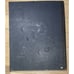 First State Quarters United States Collectors Map COMPLETE