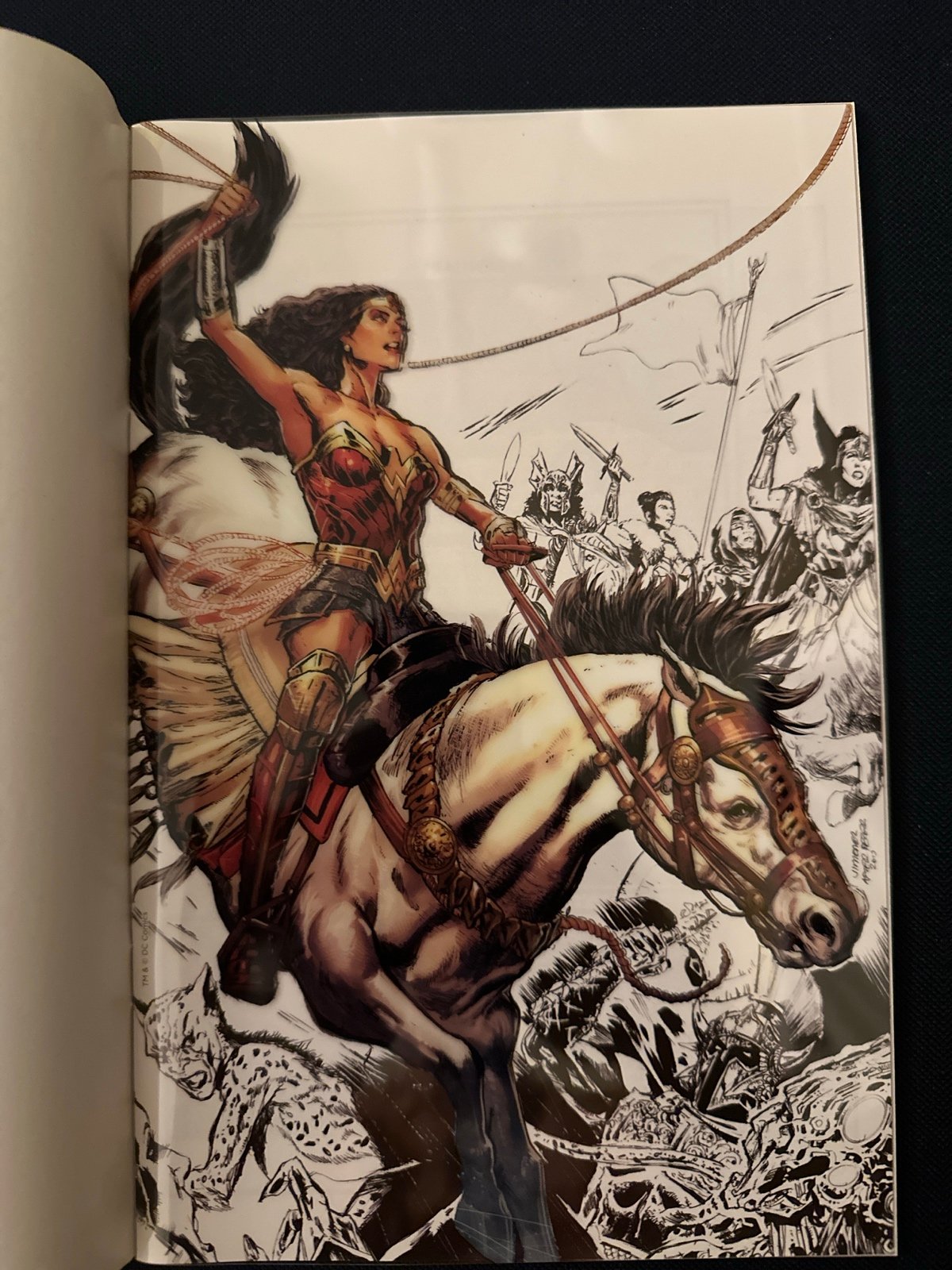 Sensation Comics #1 Acetate VIRGIN Fan Expo Convention Jimenez Wonder Woman
