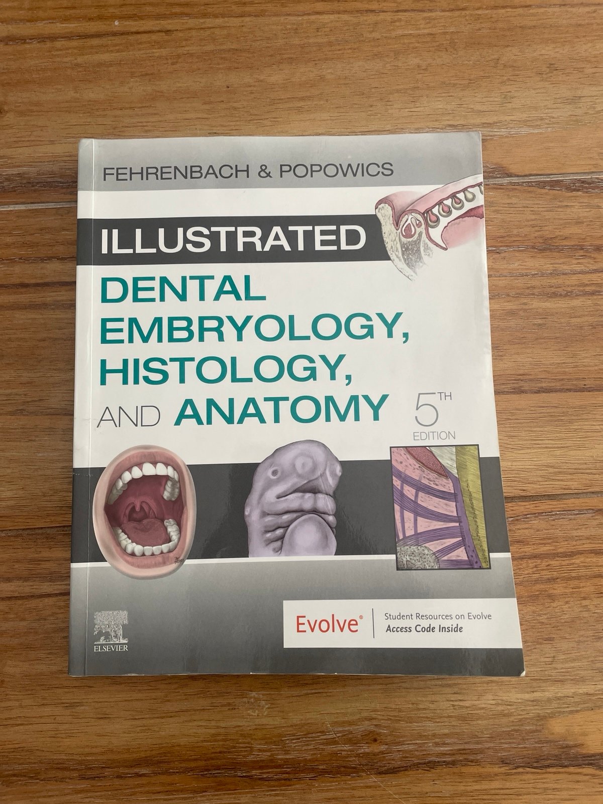 Illustrated Dental Embryology, histology, and anatomy 5th edition