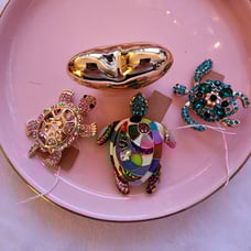 Turtle and Tortoise Brooch