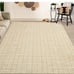 New 8 X10 rug